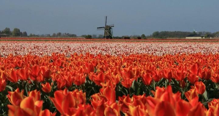 Vakantieverblijf Aan De Dijk Hotell Hippolytushoef Exteriör bild
